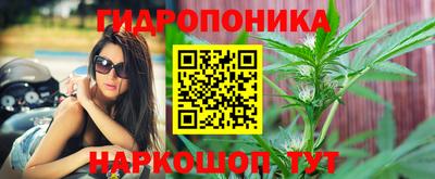бошки Краснодар